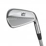 Cobra 3DP MB - 6 irons (custom)