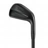 Titleist T100 2025 Black Vapor - 6 irons (custom)