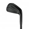 Titleist T250 2025 Black Vapor - 6 irons (custom)