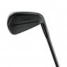 Titleist T250 2025 Black Vapor - 6 irons (custom)