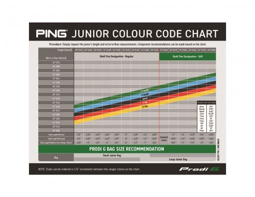 Ping Prodi G -24 Junior - Driver (custom)