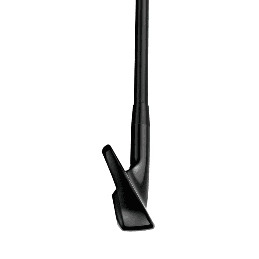 Titleist T150 2025 Black Vapor - 6 irons (custom)