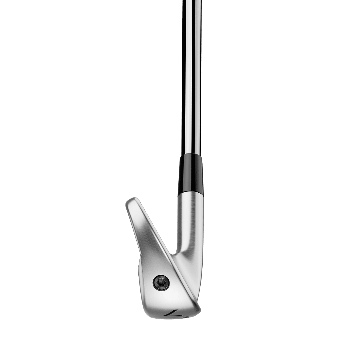 TaylorMade P790 2025 - Single Irons (custom)